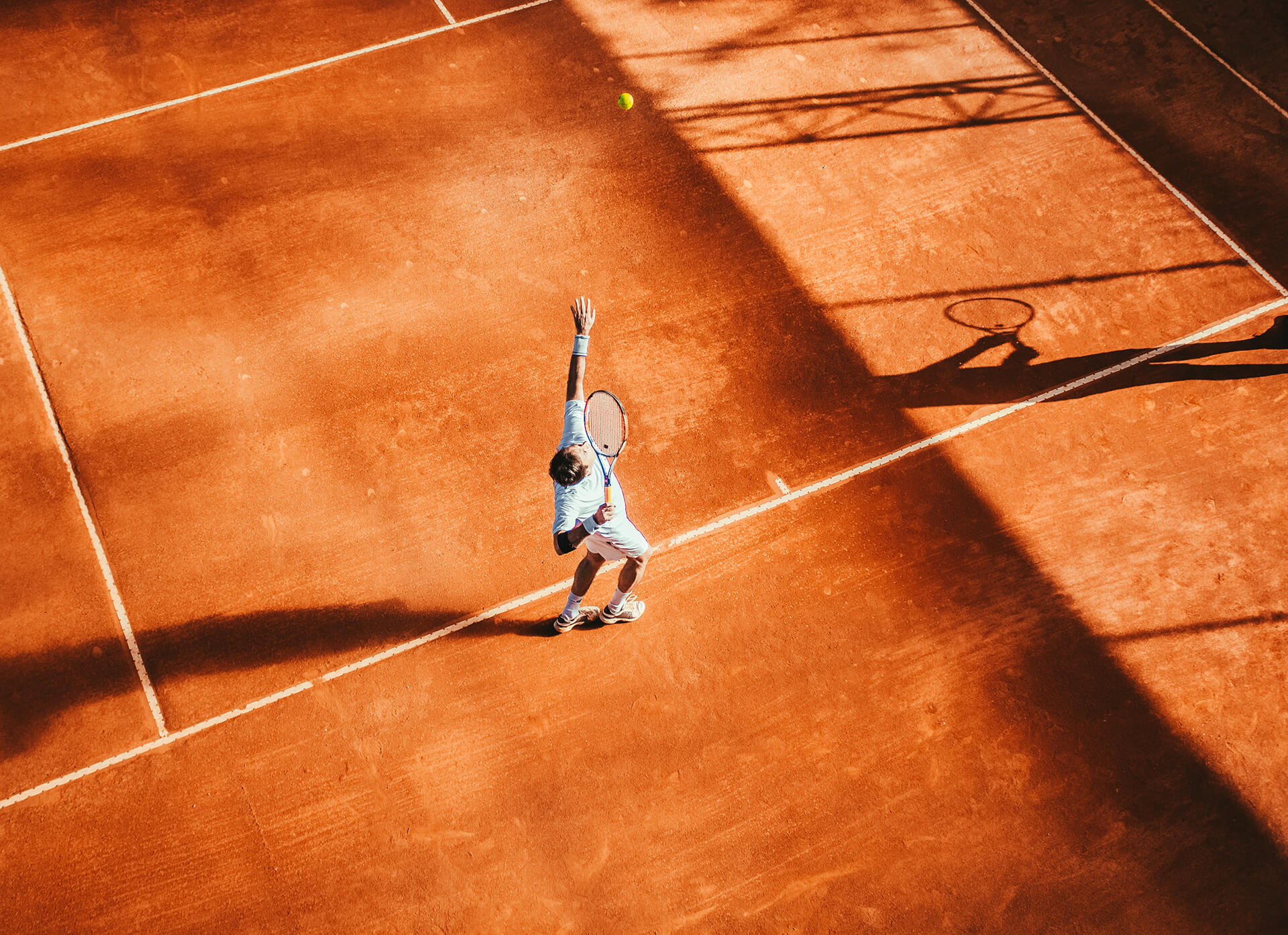 Brand Performance Brand Performance